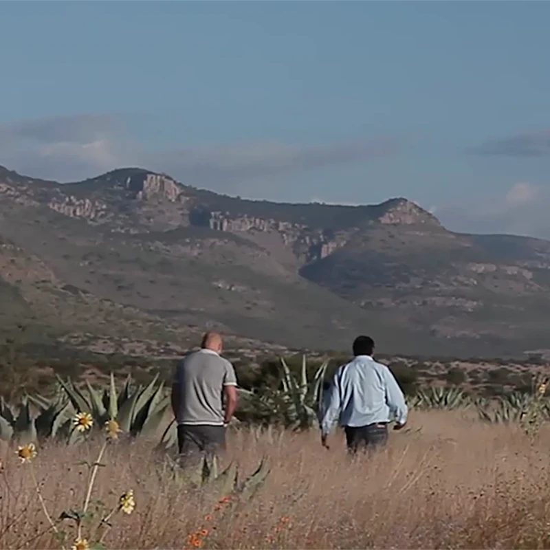 Clase Azul Tequila and Caviar Experience