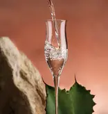 Clase Azul Tequila and Caviar Experience