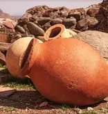 Orange Wine Escape: A Post-Thanksgiving Tasting Event