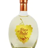 Pisco Mulet, Atacama, Chile