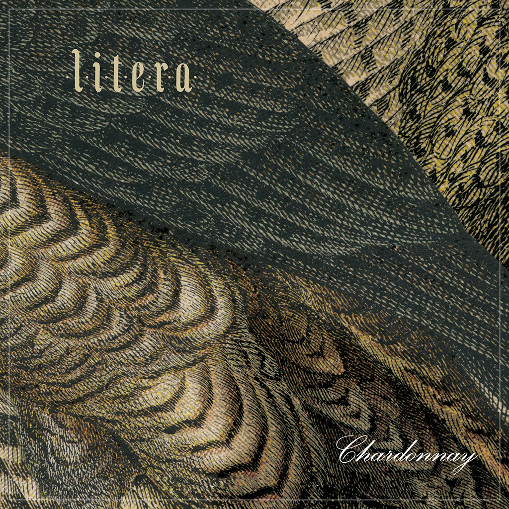 Antica Terra 2022 'Litera' Chardonnay, Willamette Valley, Oregon