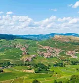 20 March Friday | An Elegant Burgundy Tasting with Boisset La Famille des Grands Vins | 7pm