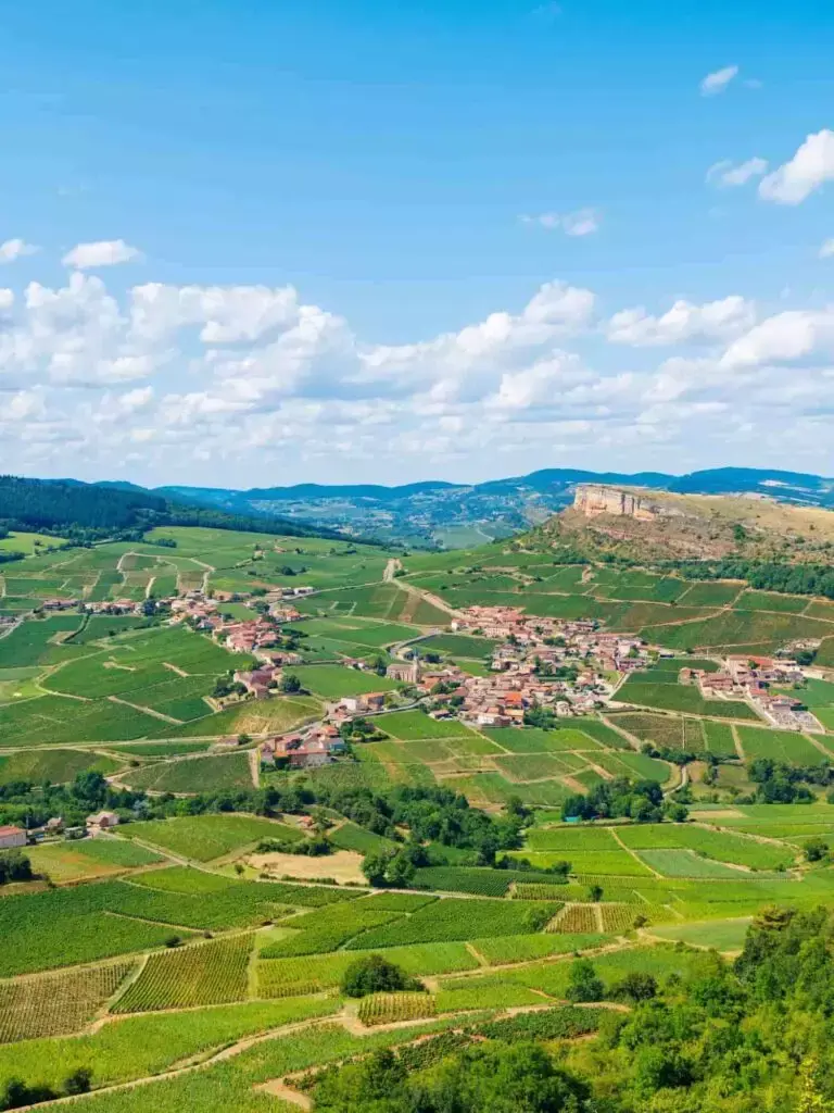 20 March Friday | An Elegant Burgundy Tasting with Boisset La Famille des Grands Vins | 7pm