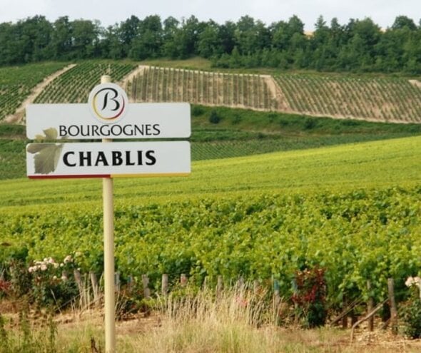 Chablis: The Purest Expression of Chardonnay