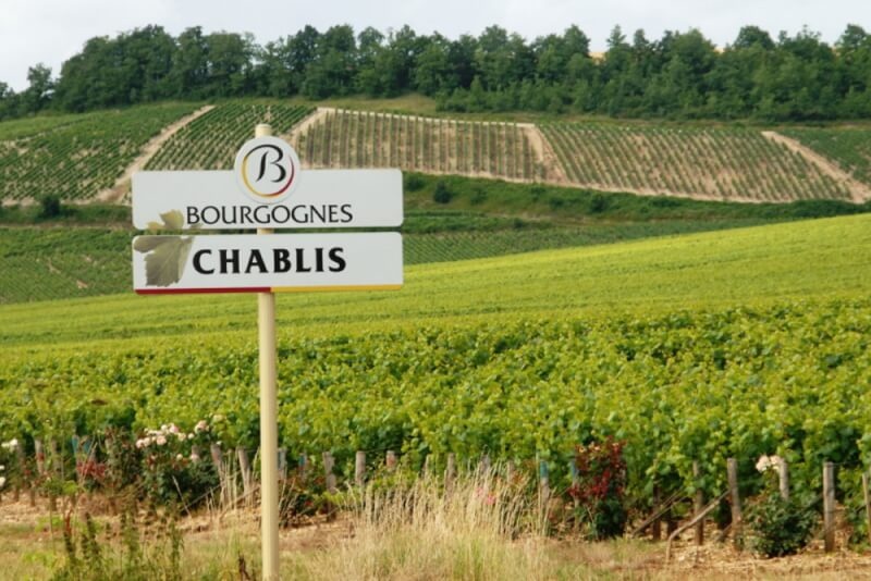 Chablis: The Purest Expression of Chardonnay