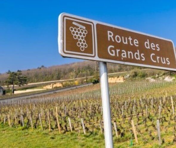 Côte d’Or, Burgundy: A Complete Guide to France’s Most Revered Wine Corridor