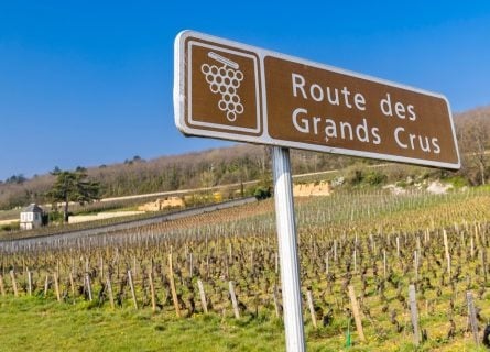 Côte d’Or, Burgundy: A Complete Guide to France’s Most Revered Wine Corridor