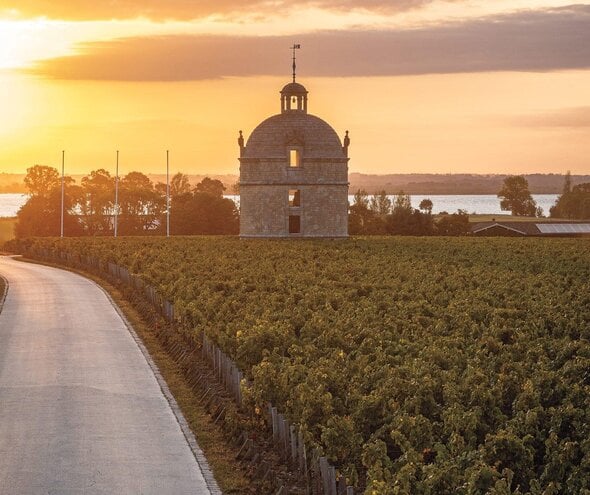 Bordeaux Uncorked: A Complete Guide to France’s Most Iconic Wine Region
