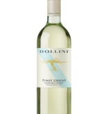 Bollini 2024 Pinot Grigio Trentino, Trentino-Alto Adige, Italy