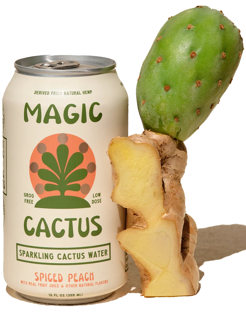 Magic Cactus Spicy Peach Sparkling Water with THC, Scottsdale, Arizona - 4pk Cans