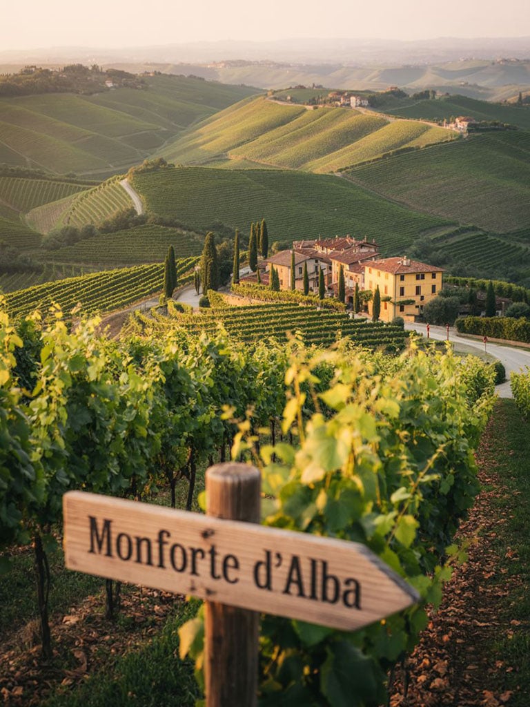 6:30 PM | Thursday 13 August | Amore Piemonte Wine Tasting with Luciano Castiello Ticket