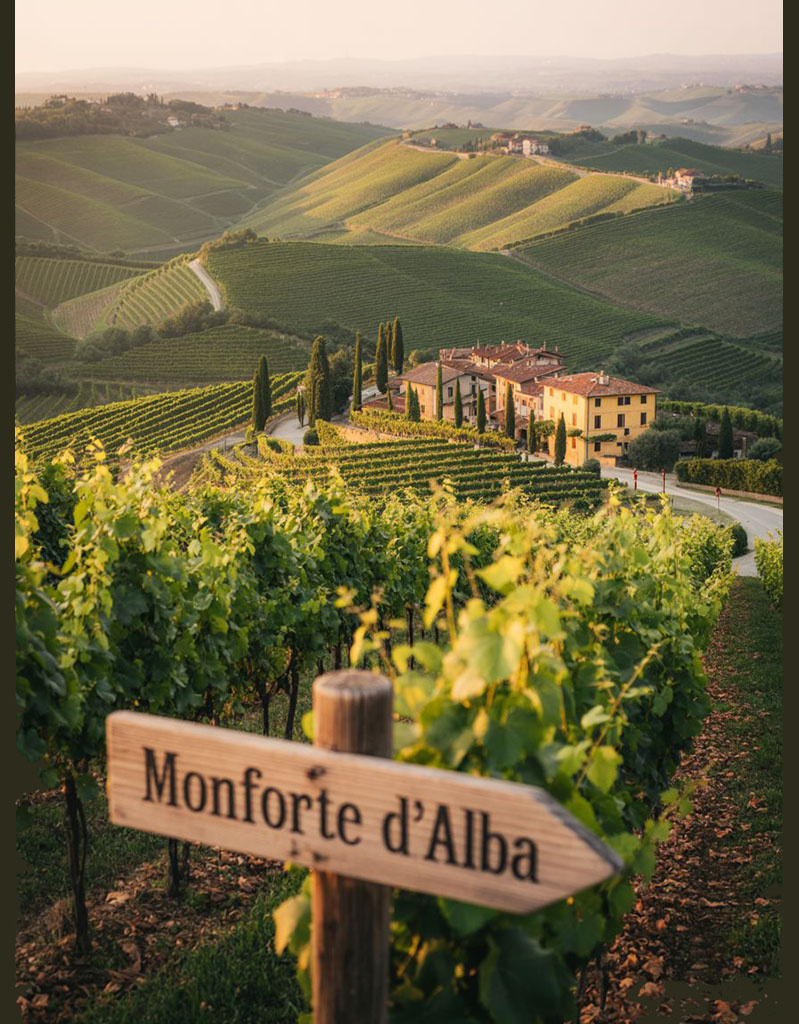 6:30 PM | Thursday 13 August | Amore, Piemonte! Wine Tasting with Luciano Castiello Ticket