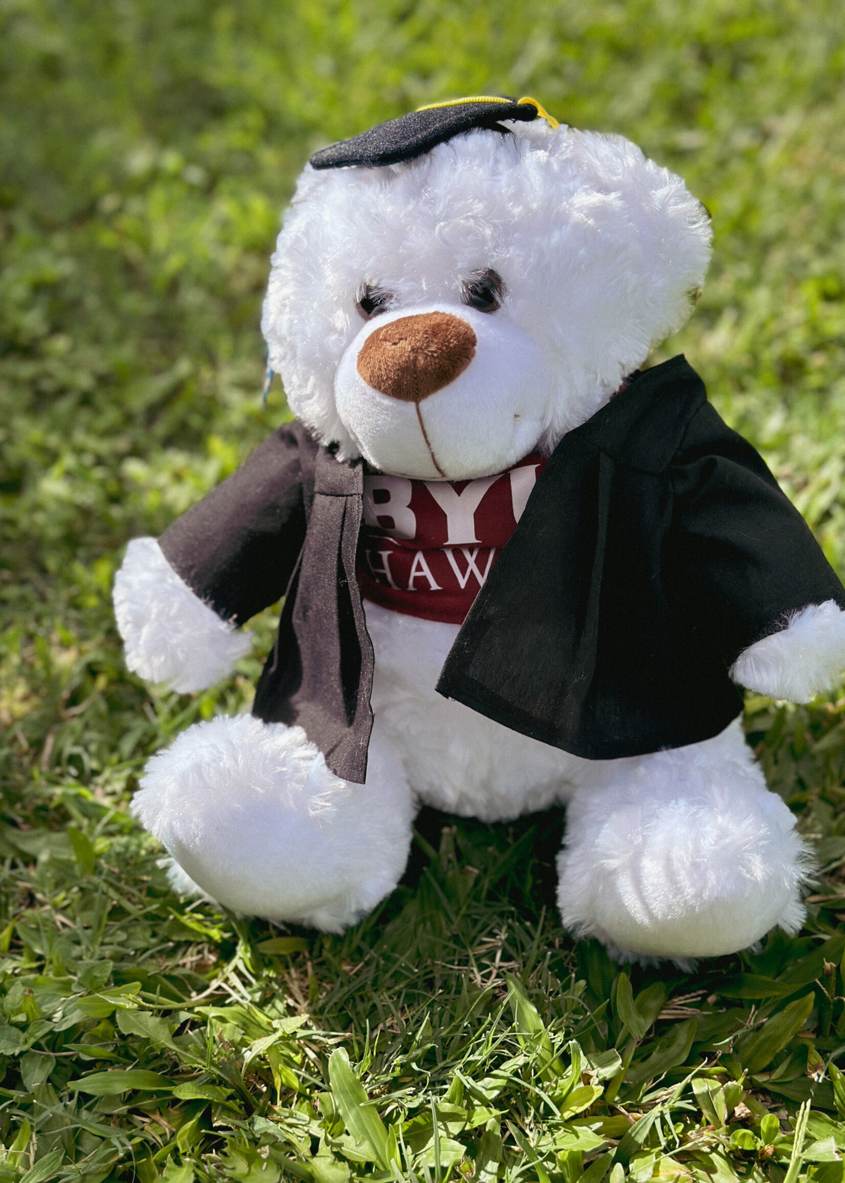 BYU-Hawaii Graduation Bears -