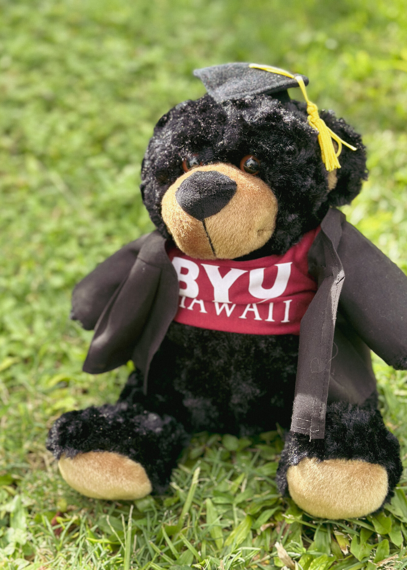 BYU-Hawaii Graduation Bears -