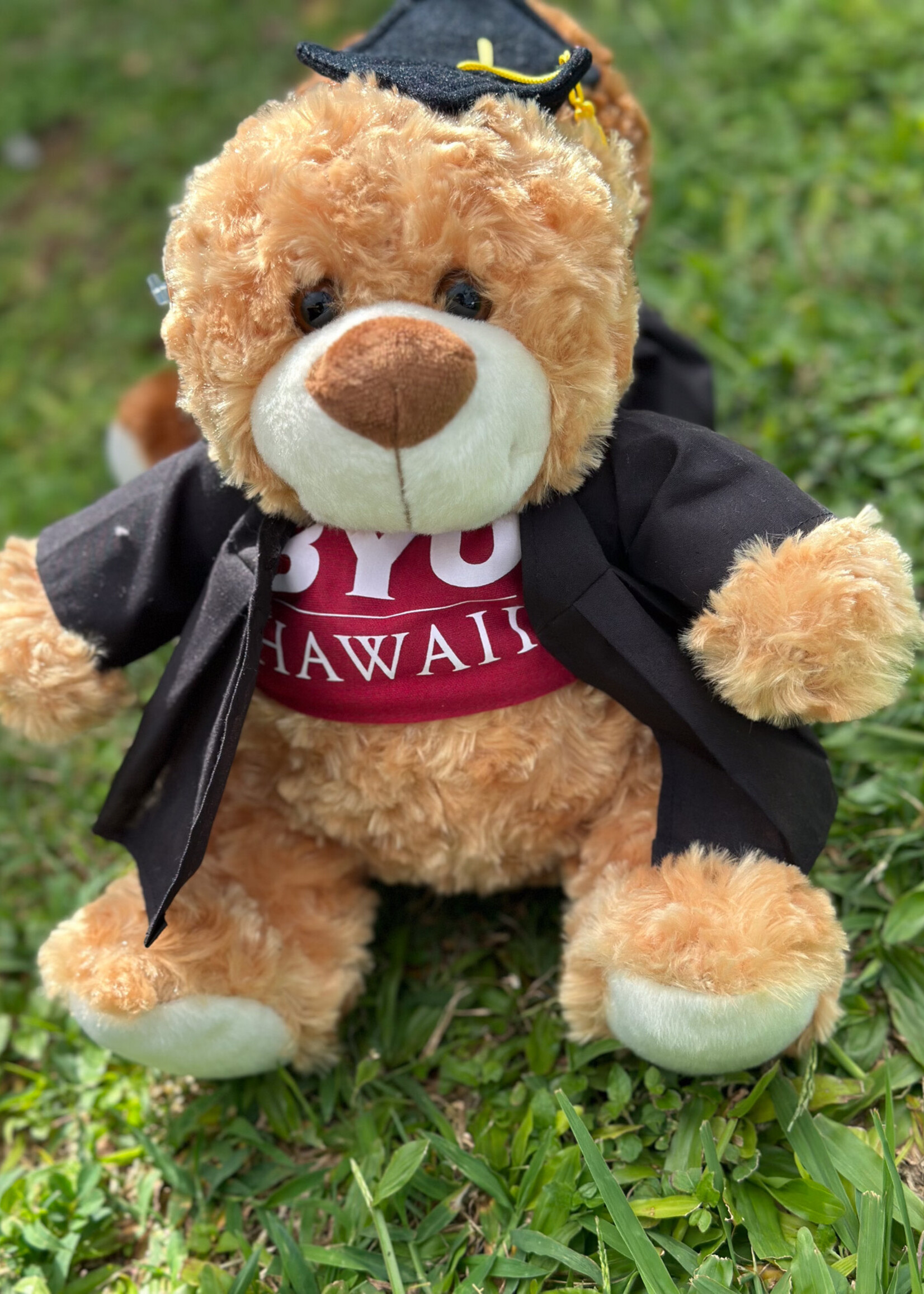 BYU-Hawaii Graduation Bears -