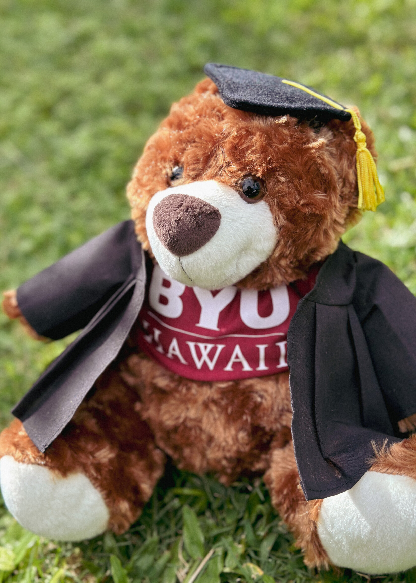 BYU-Hawaii Graduation Bears -