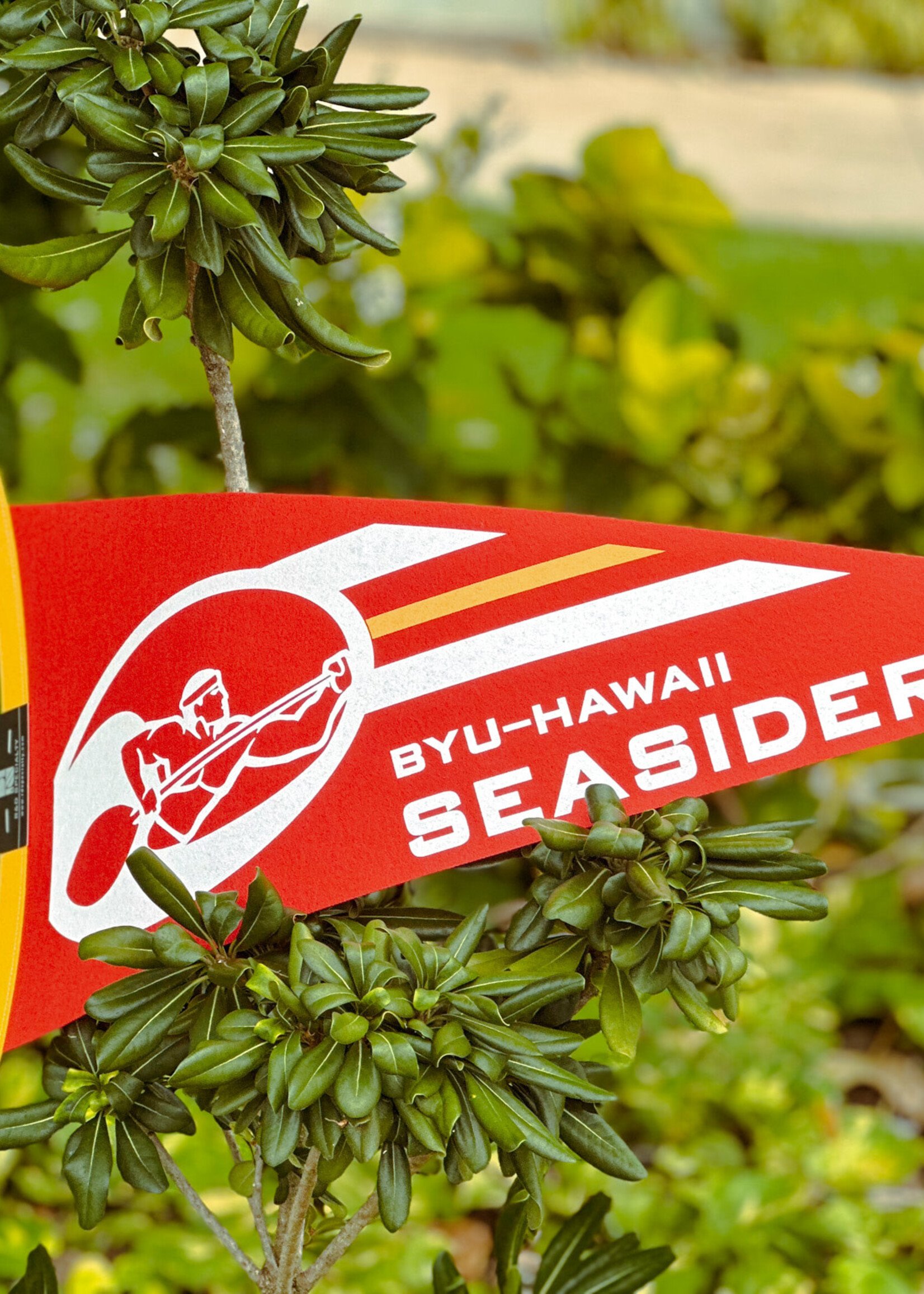 BYUH Seasider Pennant