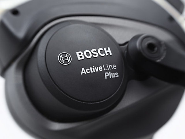 Electra Townie Go! 5i Jade Green -  with upgraded 500 wh battery