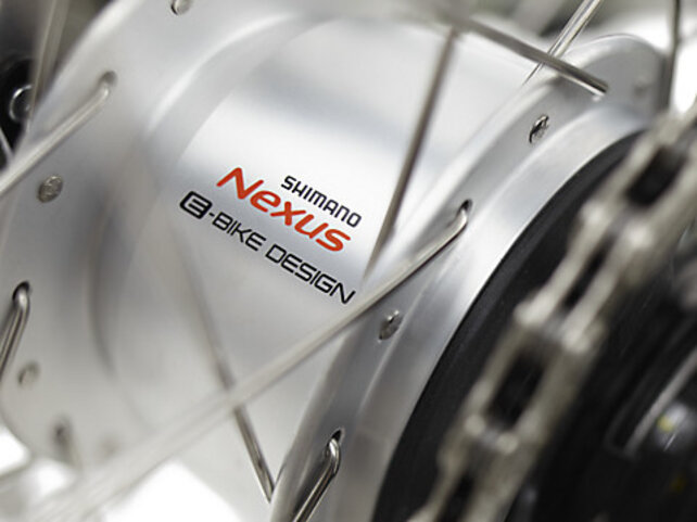 Electra Townie Go! 5i Jade Green -  with upgraded 500 wh battery