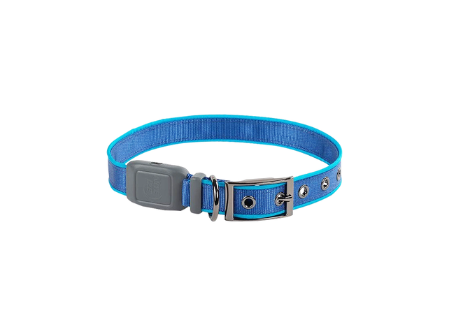Nite Ize NiteDog Large Rechargeable LED Collar - Blue