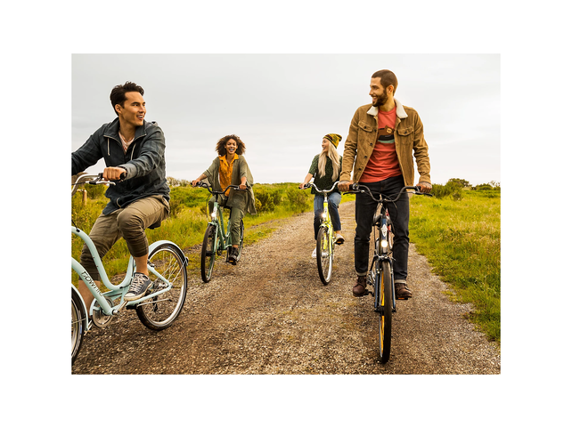 Electra Townie 7D EQ Nickel