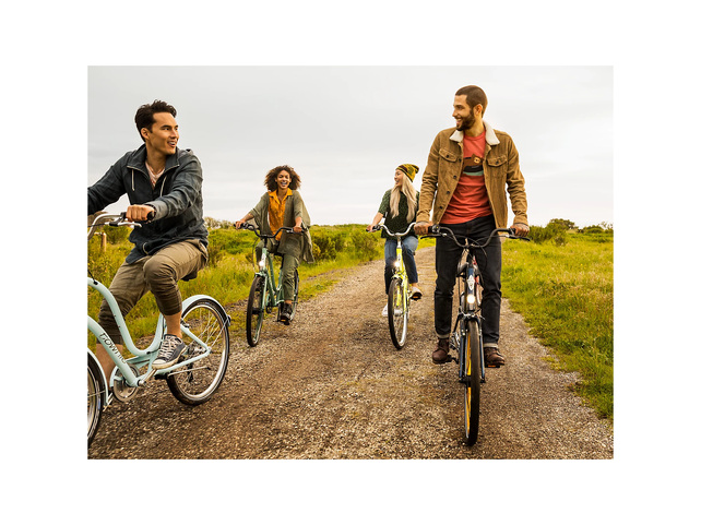 Electra Townie 7D EQ Palm Green