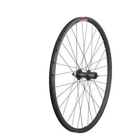 Sta-Tru 26" Wheel  Rear TR 8/9/10 speed Alloy QR Rim Brake