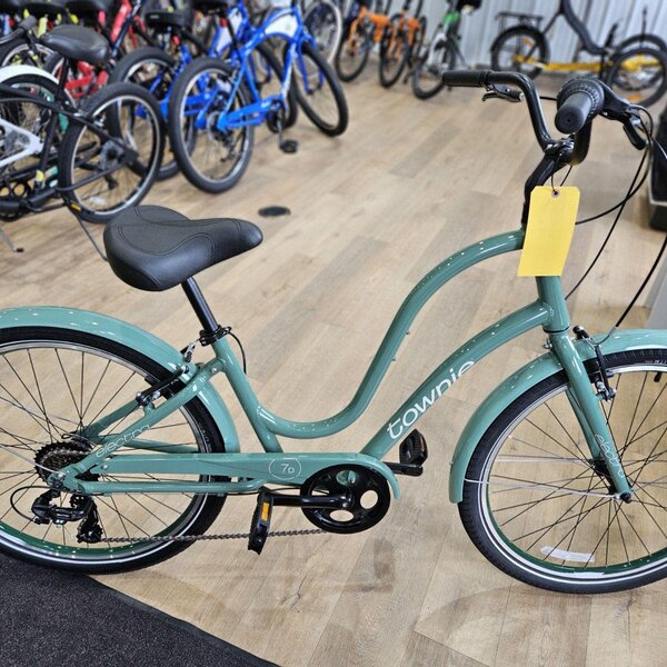 Electra Townie 7D Palm with color matched fenders