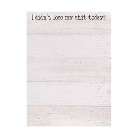 I Didn't Lost My Shit Today! Mini Notepad