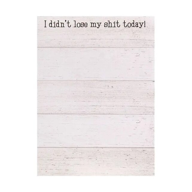 I Didn't Lost My Shit Today! Mini Notepad I Didn't Lost My Shit Today! Mini Notepad
