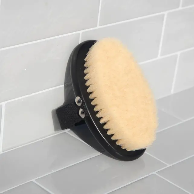 Body Dry Brush Body Dry Brush