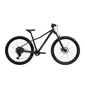 Norco Charger 26 - Sage Slate