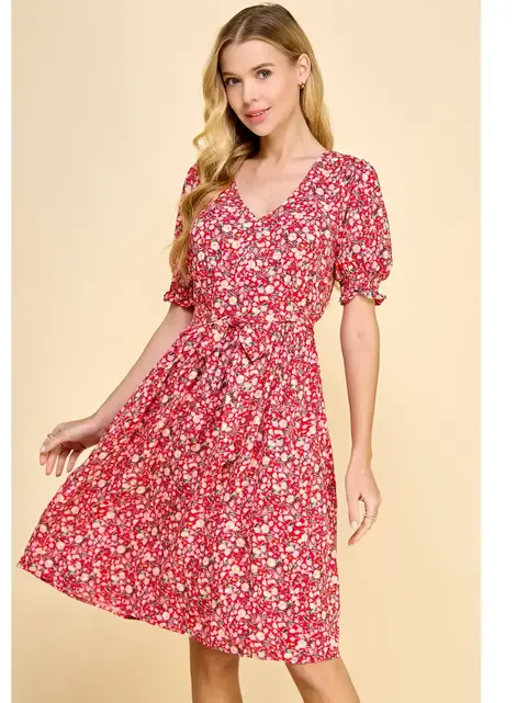 Cassia V-Neck Empire Bust Dress - Red