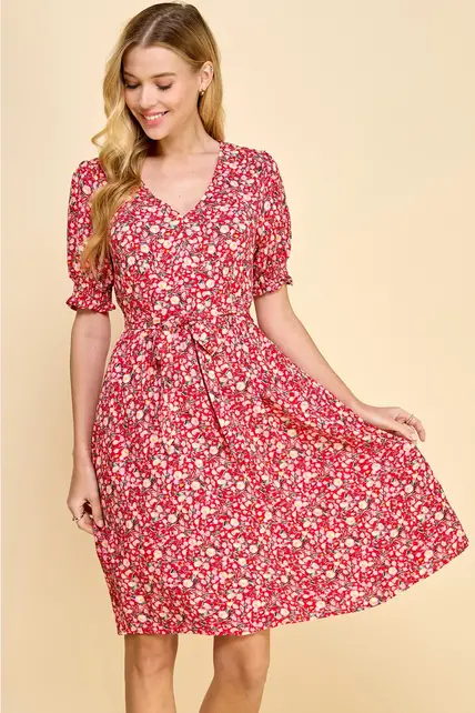 Cassia V-Neck Empire Bust Dress - Red
