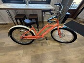 Electra Cruiser Go! with Ziggy