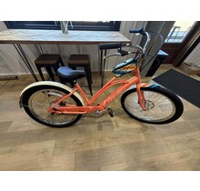 Electra Cruiser Go! with Ziggy