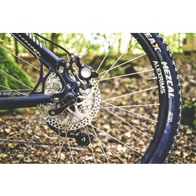 Brake Disc Hydraulic Bleed Rear