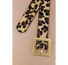 Classic Oversized Square Buckle Belts