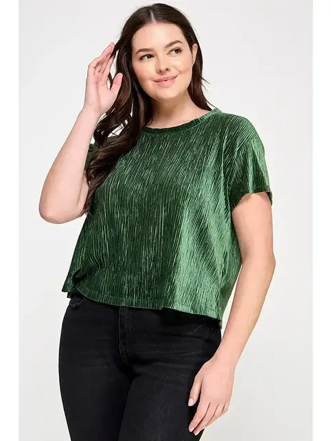 Plus Size Crew Neck Velvet Plisse Tee