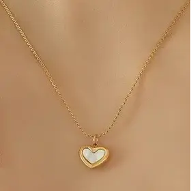 18K Stainless Steel Tarnish Free Heart Necklace | 40NK9443