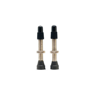 Stans Tubeless Universal Valve Pair - Size Regular