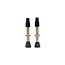 Stans Tubeless Universal Valve Pair - Size Regular