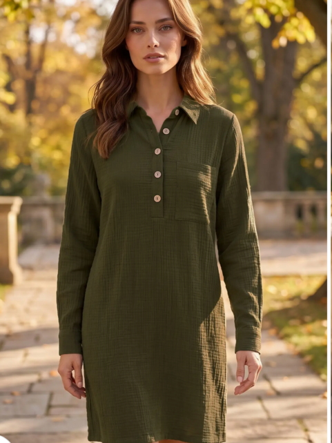 Dorelle Button Down  Dress - Olive