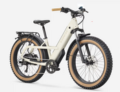Trek Borrego+ Fat Ebike