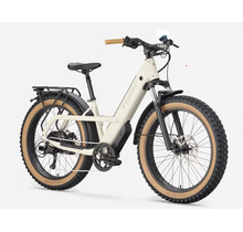 Trek Borrego+ Fat Ebike