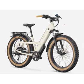 Trek Borrego+ Fat Ebike