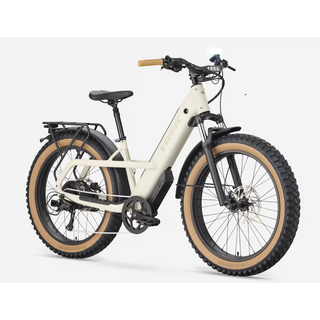 Trek Borrego+ Fat Ebike