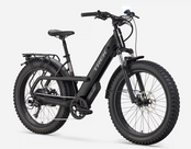 Trek Borrego+ Fat Ebike