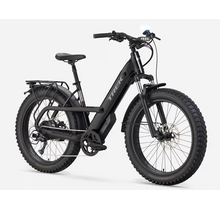 Trek Borrego+ Fat Ebike