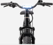 Trek Borrego+ Fat Ebike